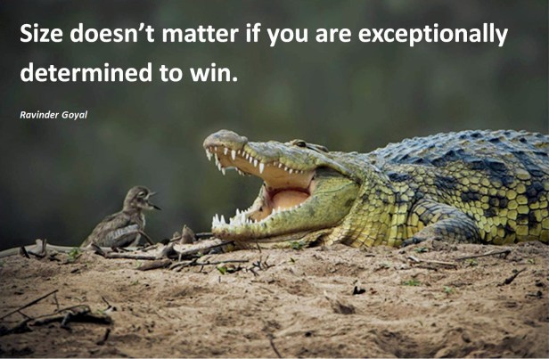 Quote of the day - Ravinder Goyal-172